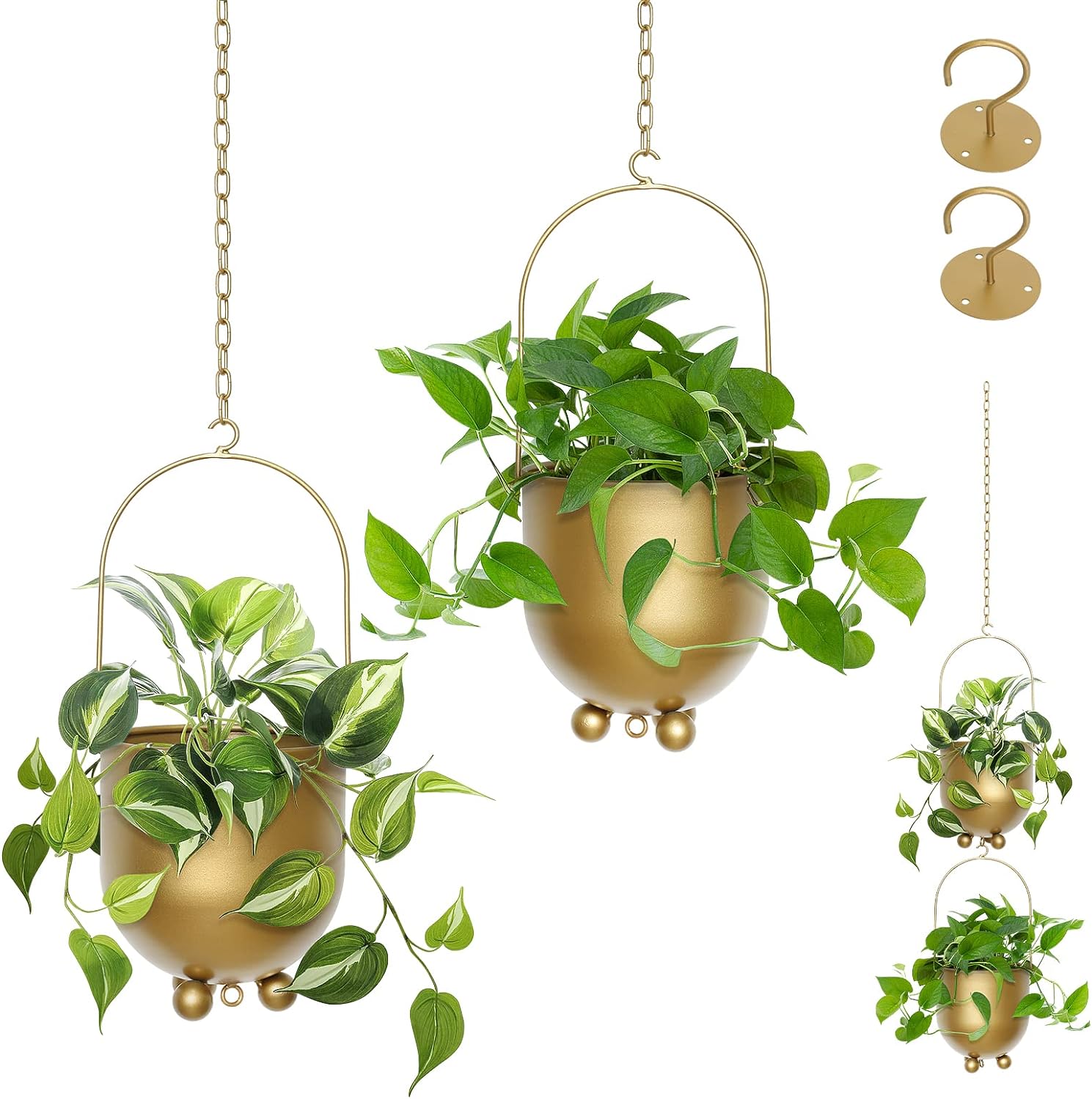 Hanging Planters